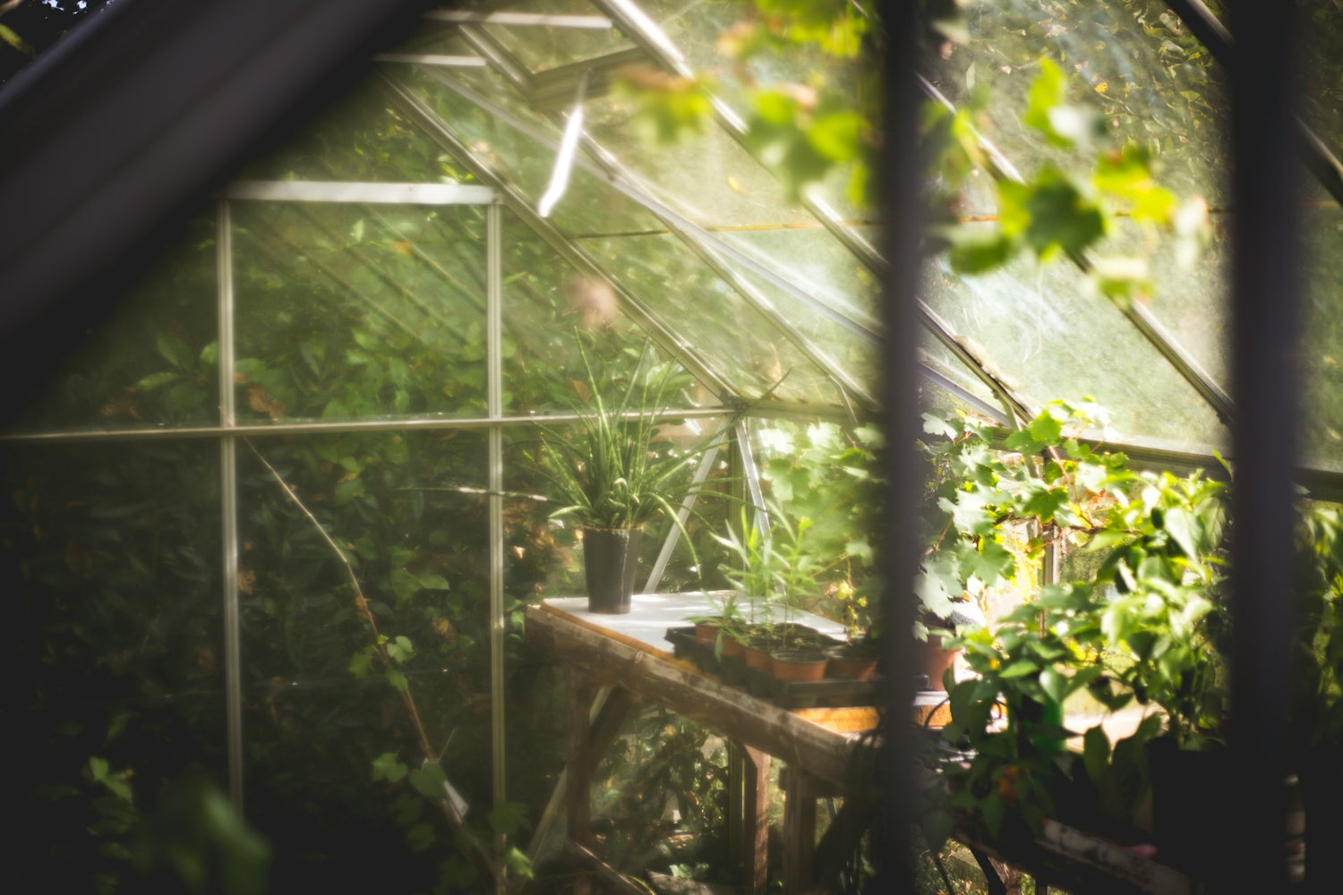 Greenhouses