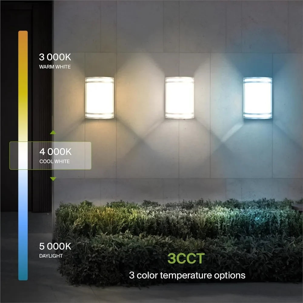 Outdoor Wall Light