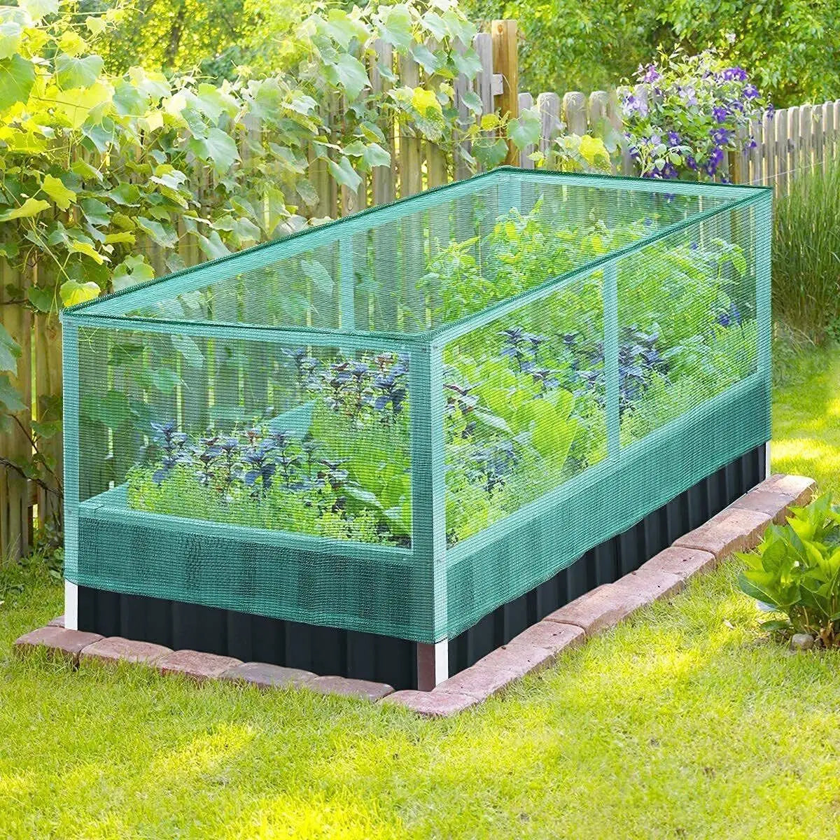 Raised Garden Bed with Anti Bird Protection