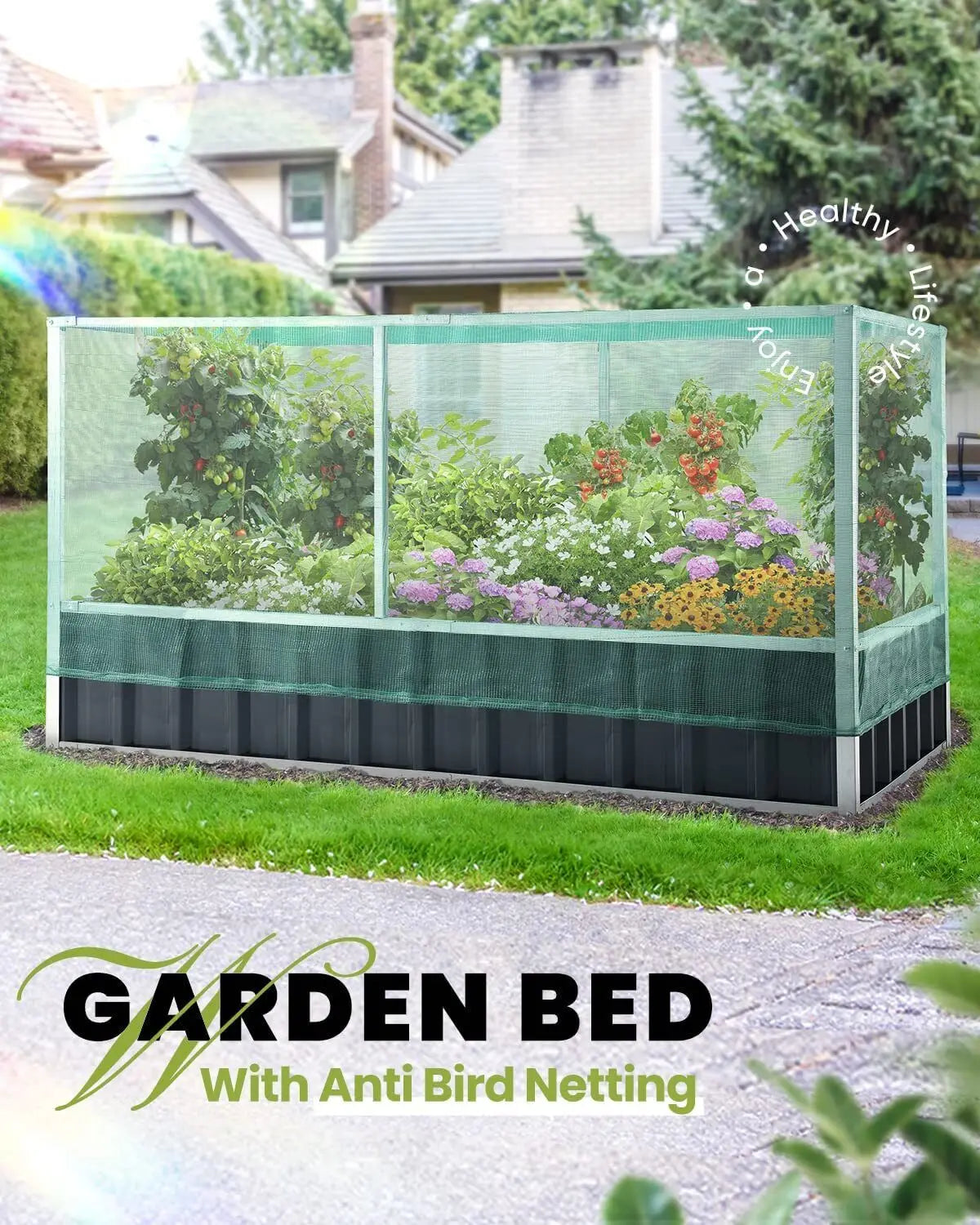 Raised Garden Bed with Anti Bird Protection